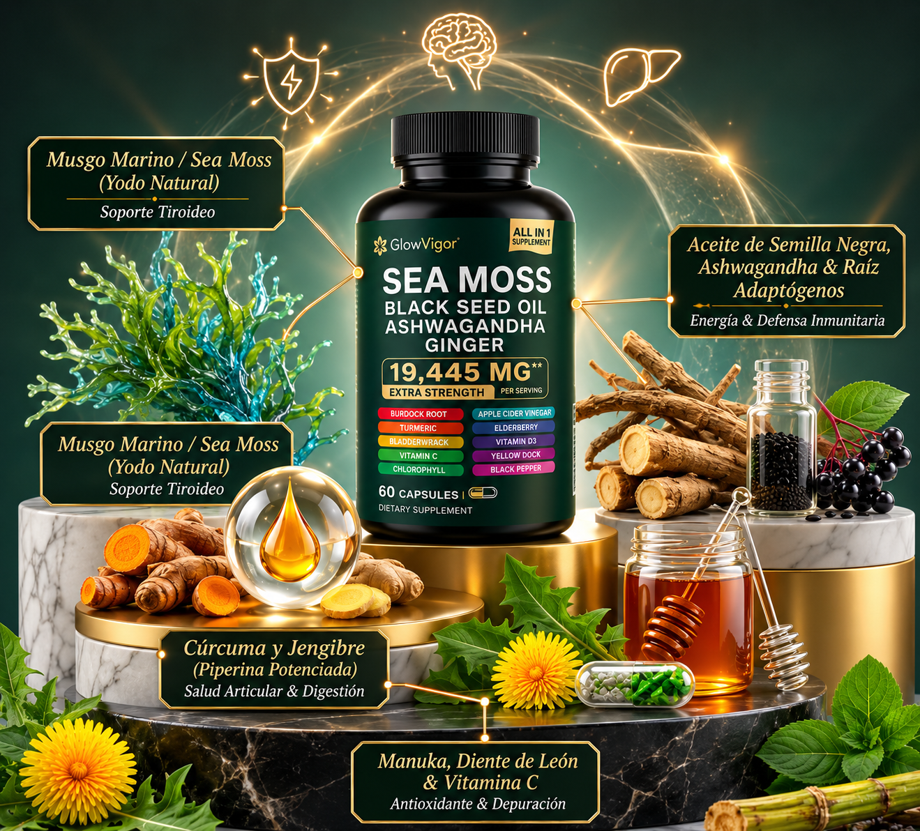 GlowVigor Sea Moss + Black Seed Oil + Ashwagandha + Ginger Fórmula Premium
